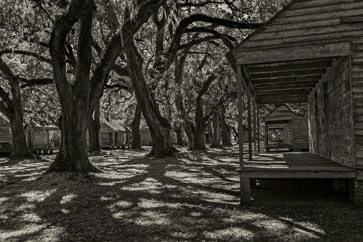The impressive allee of live oaks and double row of twenty-two slave cabins at Evergreen Plantation.
